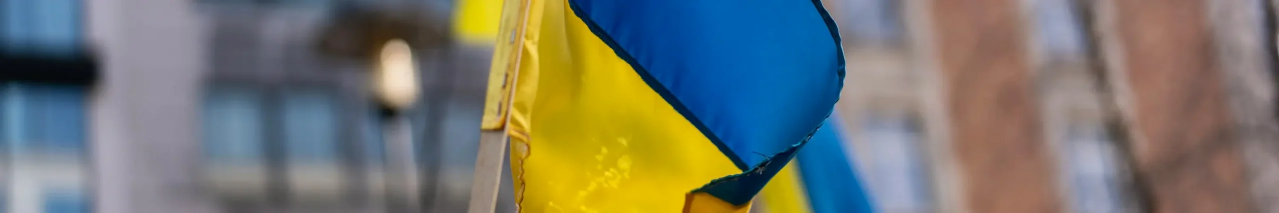 Flag image